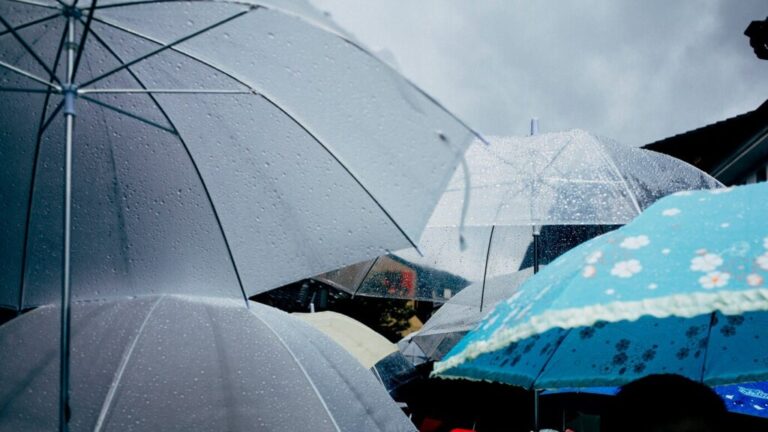 rainy-day-umbrella_1150-12616-1-1024x576-1