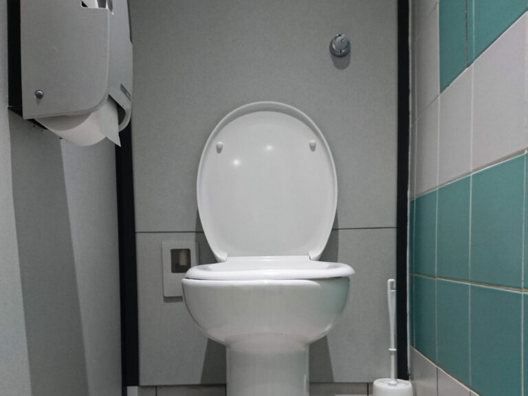 toilet-bowl-bathroom-edited-scaled-1