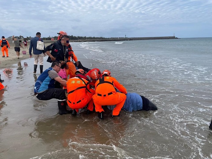 海巡人員在現場實施警戒管制，以避免圍觀民眾驚擾或不當觸碰造成二次傷害。（第6岸巡隊提供）