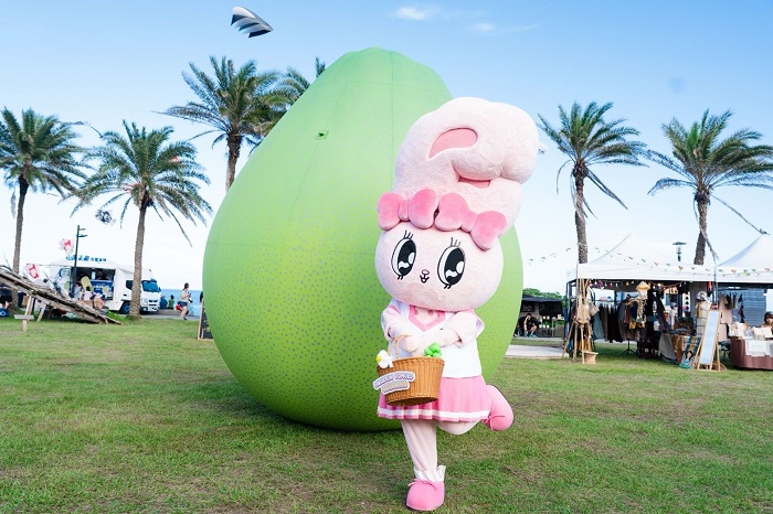 花蓮縣政府今年以「城市收成日常」為主軸，首度攜手人氣IP Esther Bunny艾絲樂小兔，12日起一連兩天在花蓮太平洋公園舉辦「2026花蓮柚香良菜市集」。(花蓮縣政府提供)