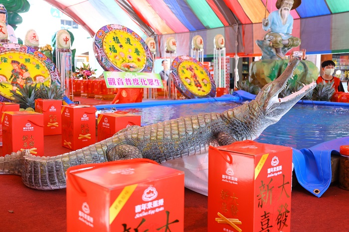 鱷魚、龍蝦等供品相當吸睛。（圖/嘉義市府提供）