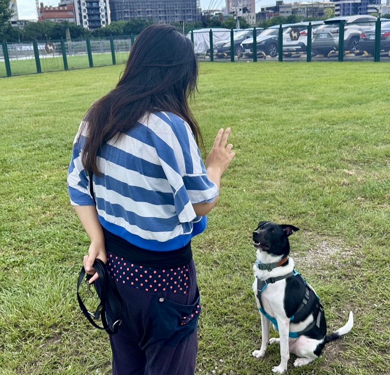別讓飼主半夜抱毛孩無處醫　陳怡潔提四解方補深夜救命網